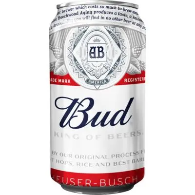 Bud 5% 24x330ml Can
